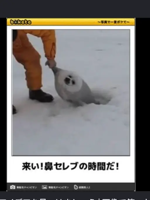 Yippy의 幼稚園児のアートフル達