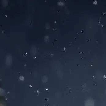 Profile image of らっだぁ