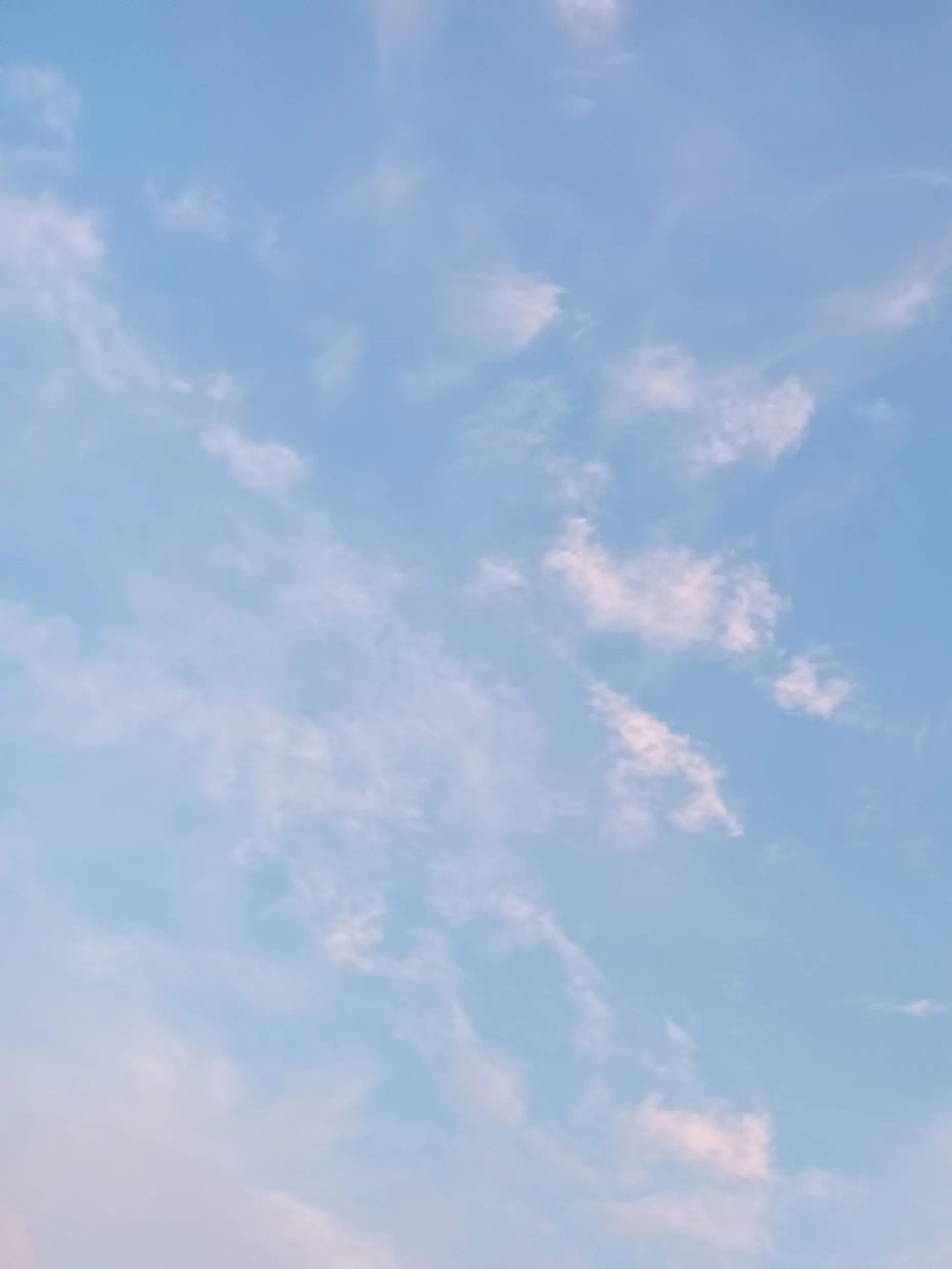 miyanegi.의 常識人の未成年。