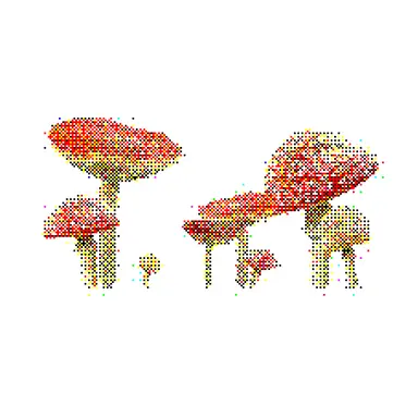 Profile image of mushroom.
