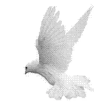 Profile image of bird.