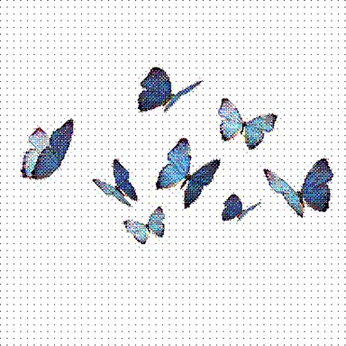 Profile image of butterfly.