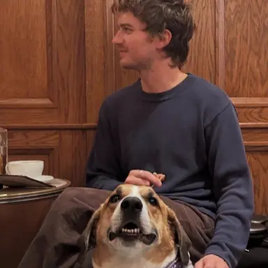 Profile image of Joe keery