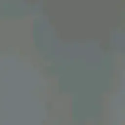 Profile image of 강태현