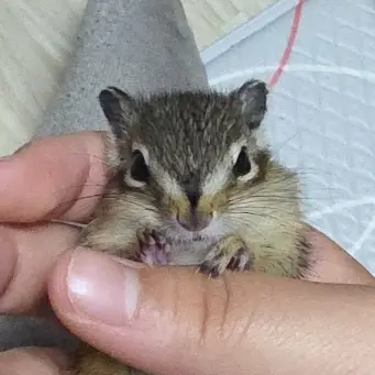 Profile image of 진우