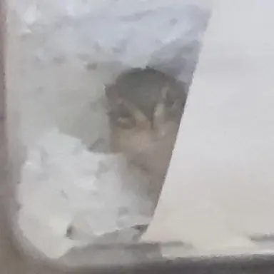 Profile image of 미스터리