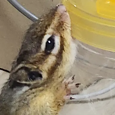 Profile image of 애비