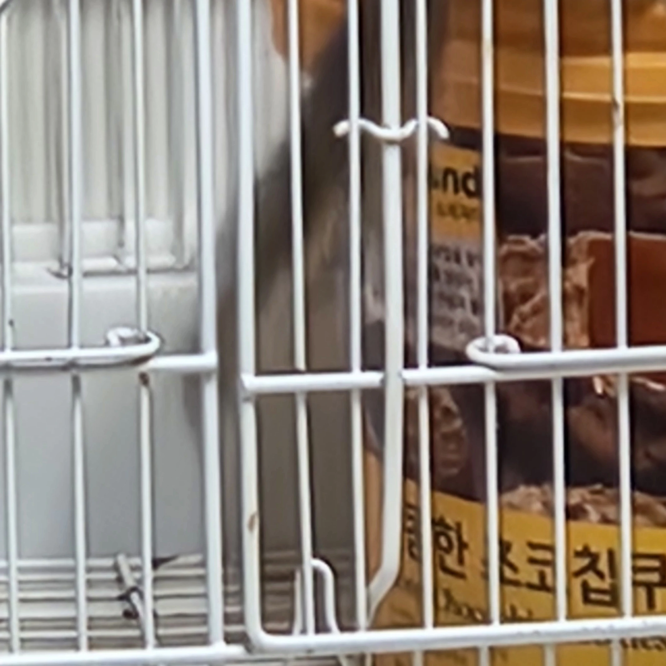 로맨스