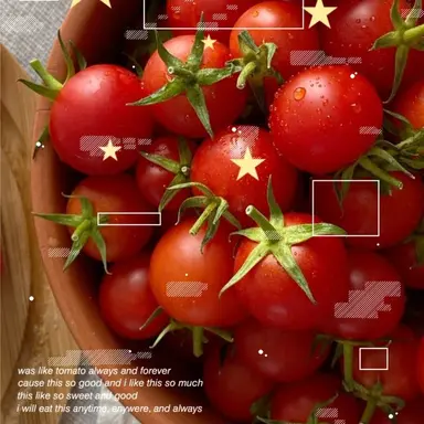 Profile image of 공토파