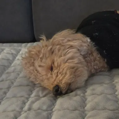 Profile image of 한진우