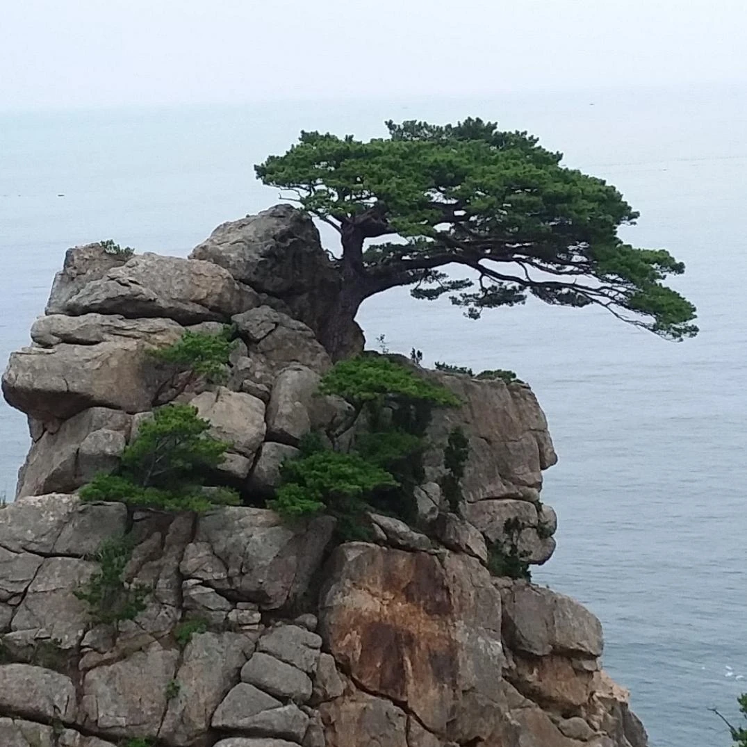 친할아버지
