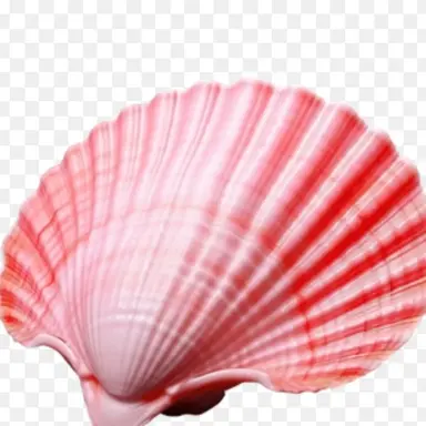 Profile image of 분홍해저조개주민