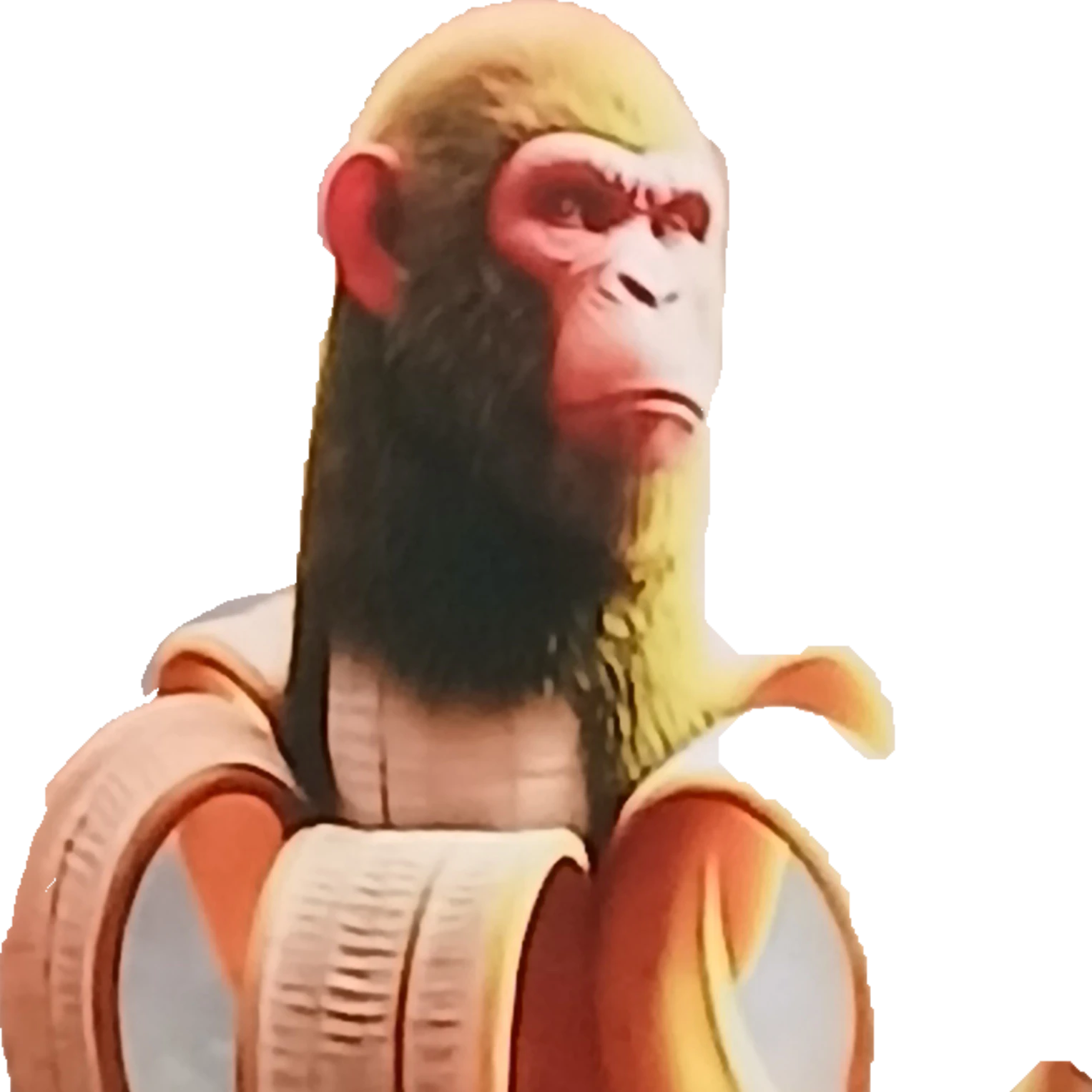 침판치니 바나니니