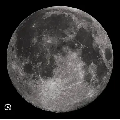 Profile image of 달