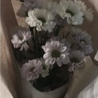 Profile image of 신정환