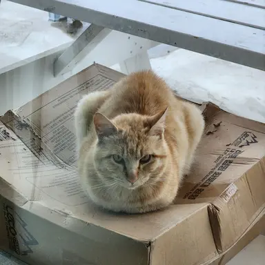 Profile image of 황지