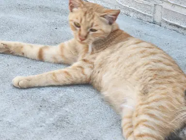 Profile image of 세아