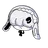 마오