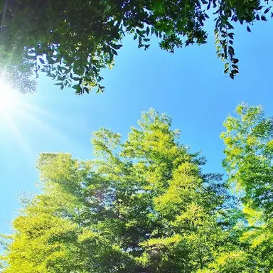 Profile image of 寺宮 夏
