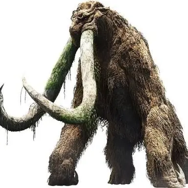 Profile image of Behemoth
