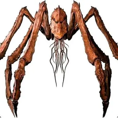 Profile image of Scylla