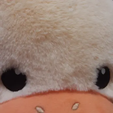 Profile image of 여우