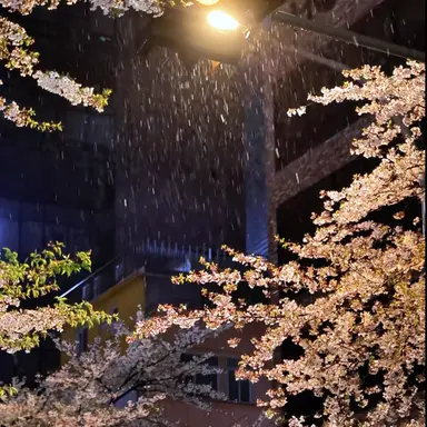 Profile image of 정재현