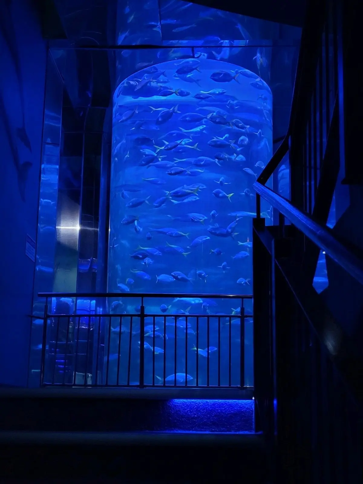 cannabis_2000의 水族館