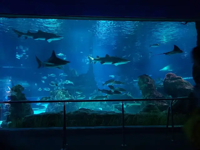 Profile image of 水族館