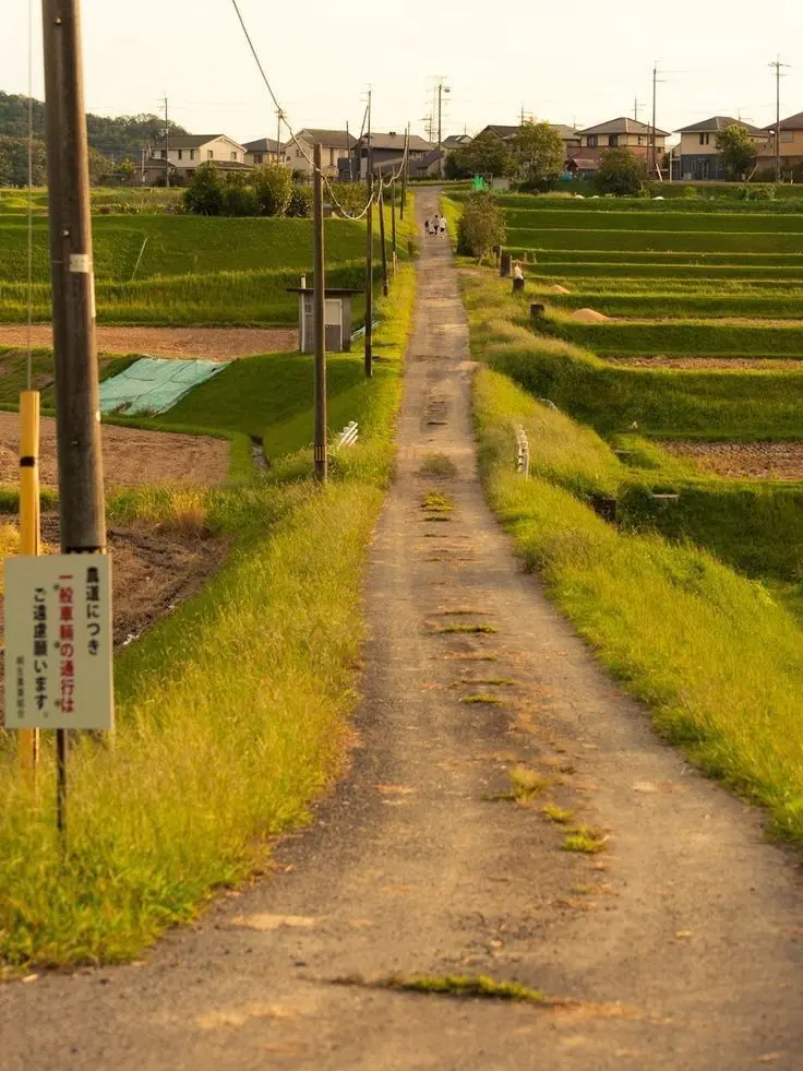 Dhsmfdlqslek의 시골 그 남자