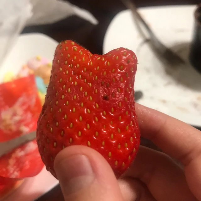 超能力を使って遊ぼう