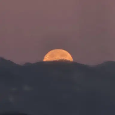 Profile image of 채영