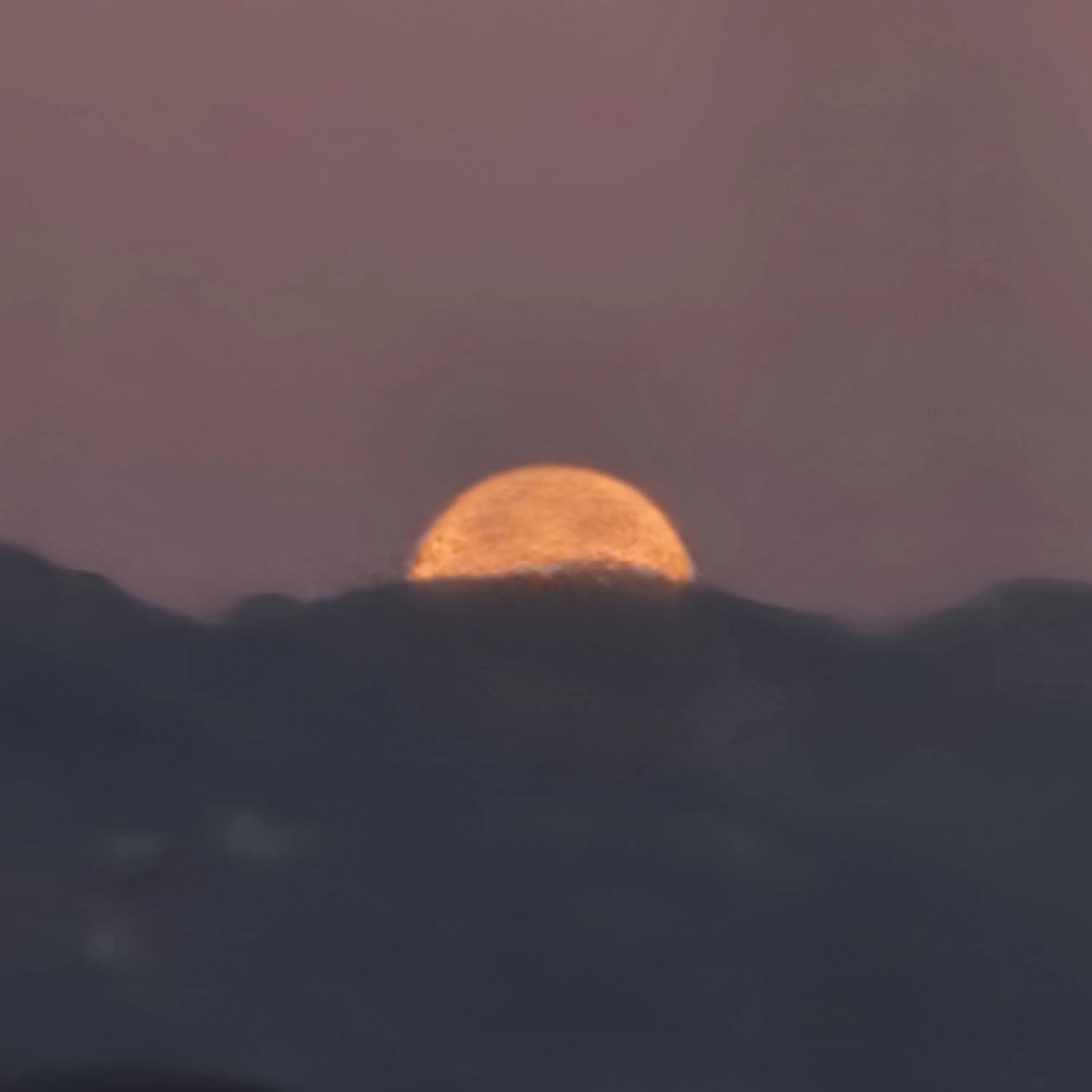 LowRain0015의 Healer