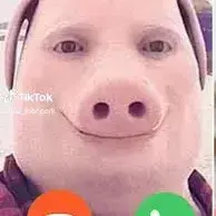 Profile image of John