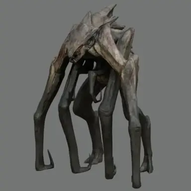Profile image of 퀸 무토