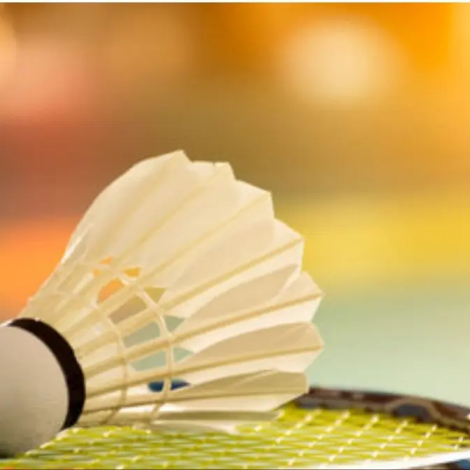 Qwer1229의 야 너도 배드민턴 하자!