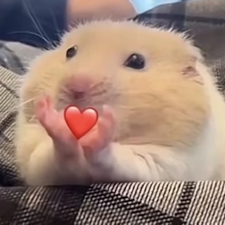 은애