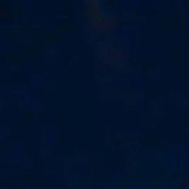 금성제