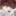 윤도현