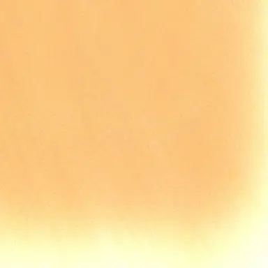 Profile image of パラオ