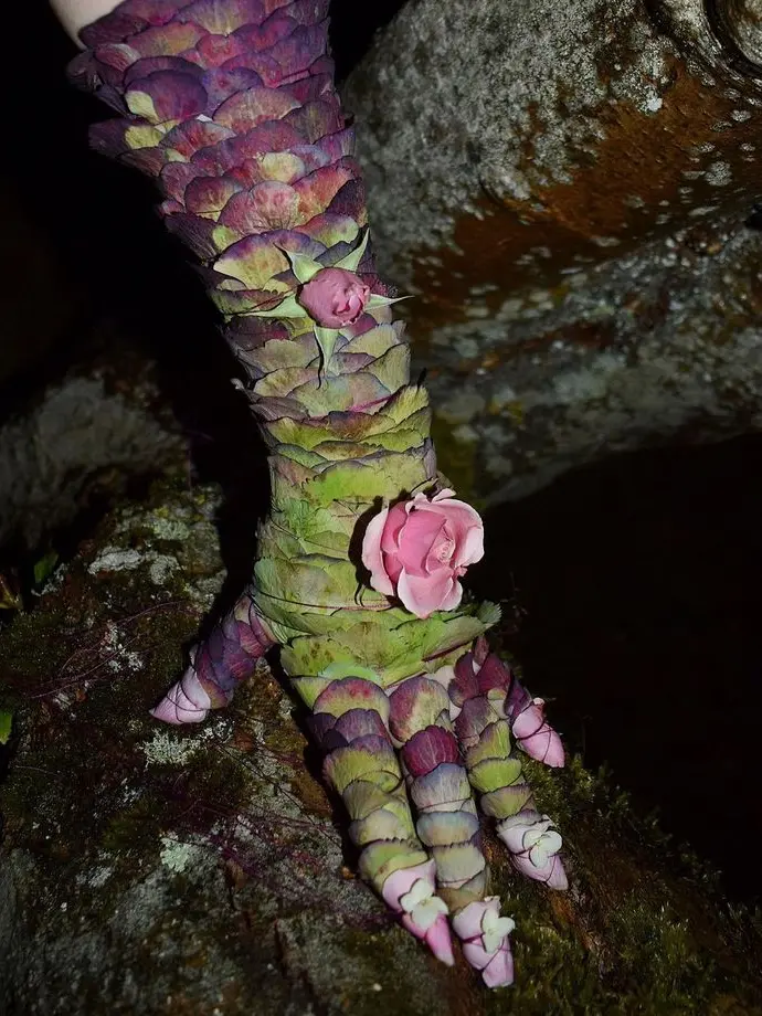 Fluorine66의 너 누군데 초면에 그 난리임?