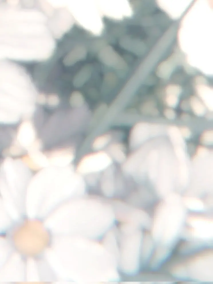 plenaqua7280의 ✳︎
