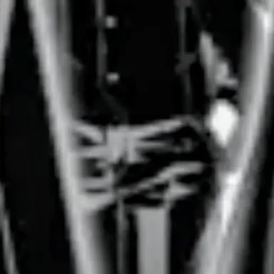 Profile image of 嶺
