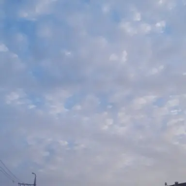 Profile image of 백호신장ㆍ白虎神將