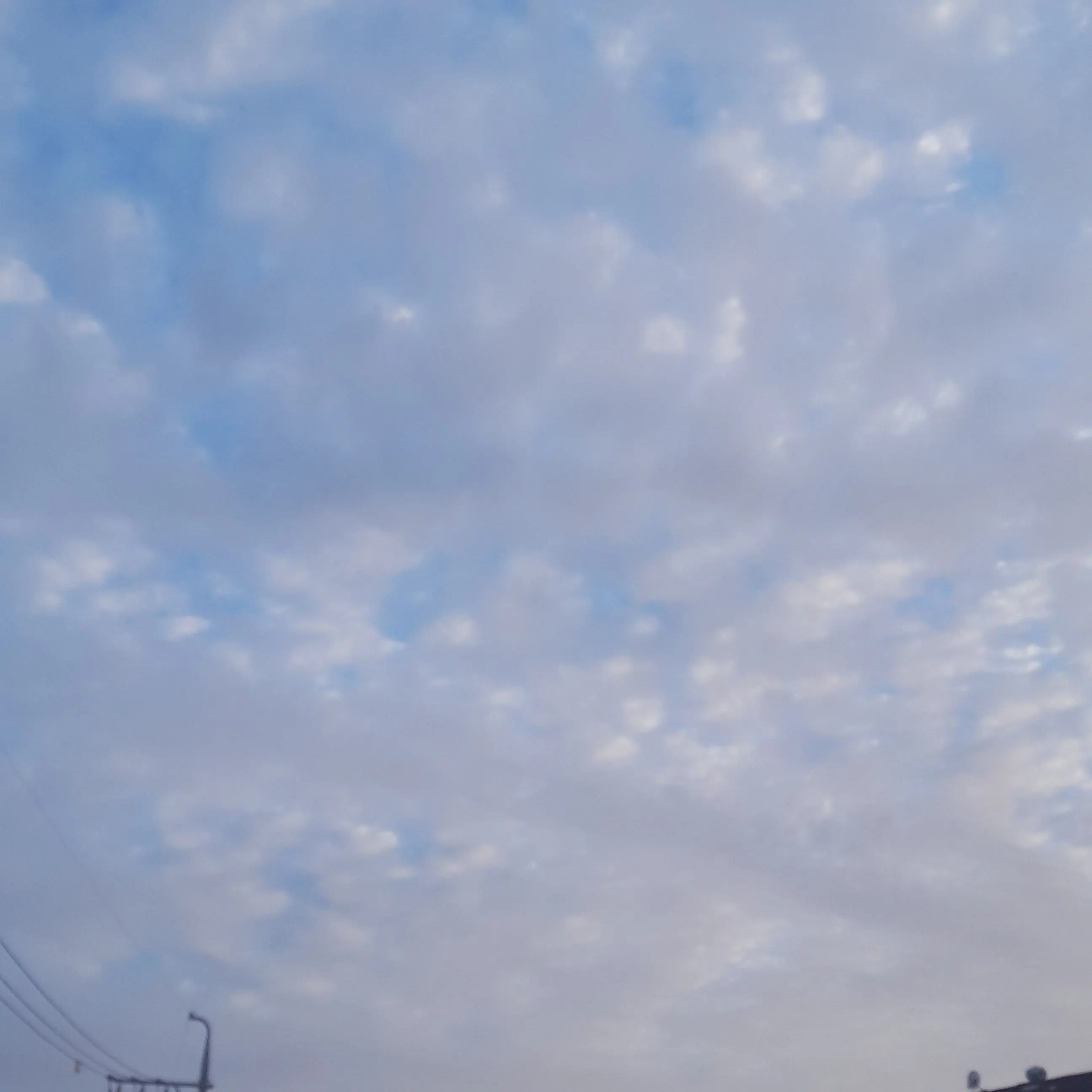 StormyNeck5178의 백호신장(白虎神將)