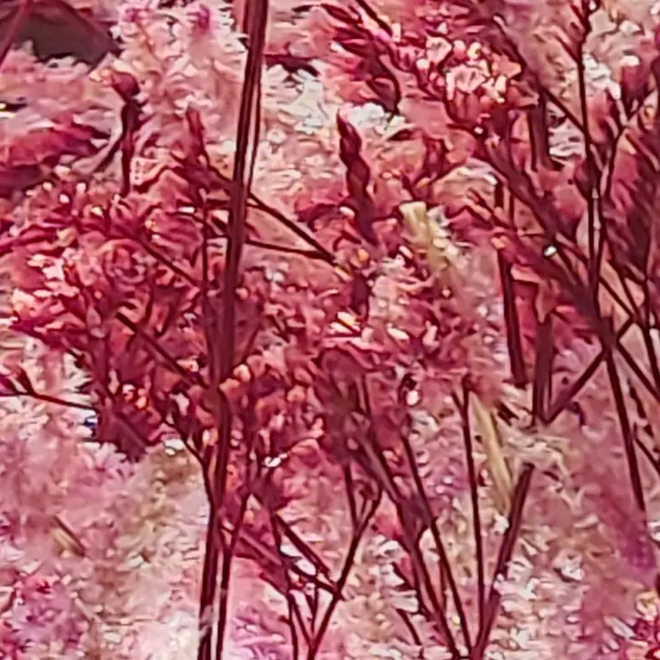 DampSquid7539의 진격의 거인