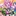 魔法少女にあこがれて