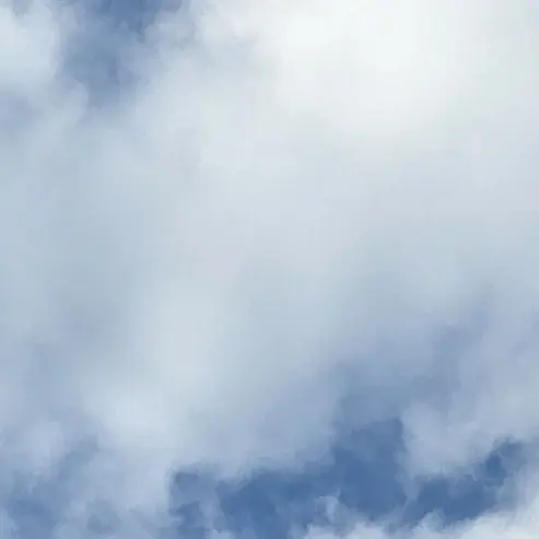 ConvexSoup7021의 겨미