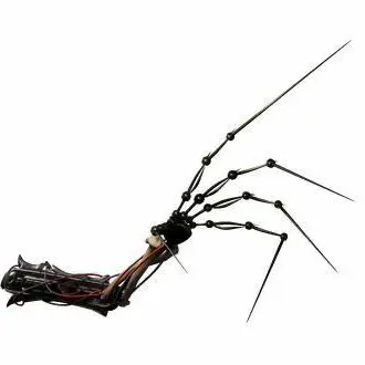 Profile image of 프로토타입