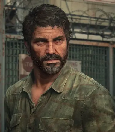 Profile image of Joel Miller